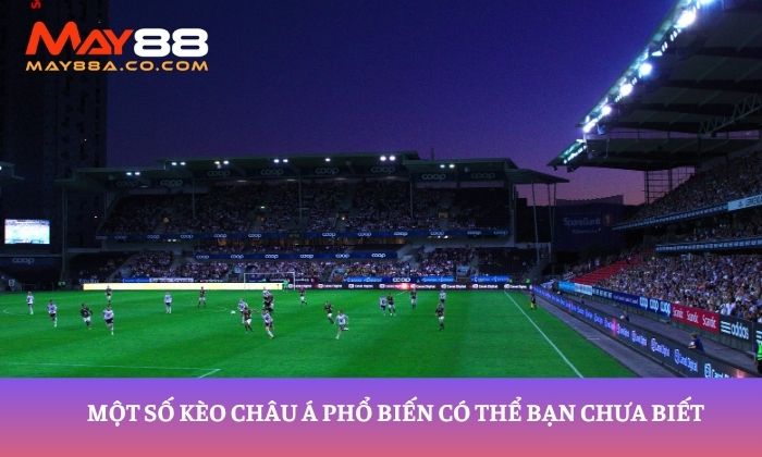 Một số kèo châu Á phổ biến có thể bạn chưa biết