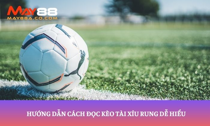 Hướng dẫn cách đọc kèo tài xỉu rung dễ hiểu