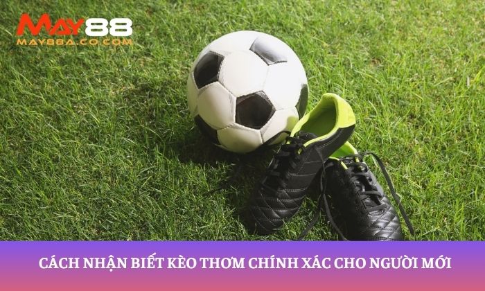 Cách nhận biết kèo thơm chính xác cho người mới