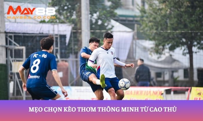 Mẹo chọn kèo thơm thông minh từ cao thủ