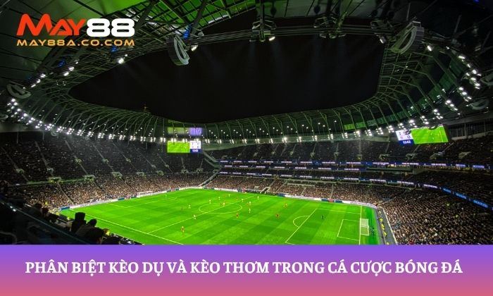 Phân biệt kèo dụ và kèo thơm trong cá cược bóng đá